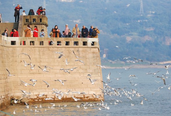 中國(guó)式現(xiàn)代化的一個(gè)重要特征